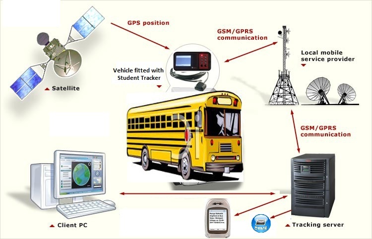 MDT_1